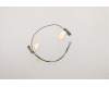 Lenovo ANTENNA WLAN Antenna MAIN+AUX<WNC> für Lenovo ThinkPad P1 Gen 3 (20TH/20TJ)
