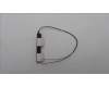 Lenovo ANTENNA FRU ANTENNA KE611 WLAN MAIN+AUX für Lenovo ThinkPad E16 Gen 1 (21JQ)