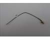 Lenovo ANTENNA 170mm SMA RF Cable_LUX für Lenovo V100q (13GE)