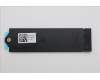 Lenovo BRACKET MPV60_SSD_2280_WPAD_BKT_ASSY für Lenovo ThinkPad P16v G3 (21RT)