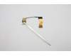 Lenovo CABLE EDP cable L 20YM für Lenovo ThinkBook 16p G2 ACH (20YM)