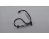 Lenovo CABLE Fru,SATA PWRcable(300mm+80mm) für Lenovo ThinkStation P3 Tower Gen 2 (30HS/30HT/30J0/30HX)