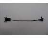 Lenovo CABLE Fru CBL 41PIN für Lenovo ThinkCentre M90a Pro Gen 4 (12JN)
