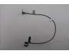 Lenovo CABLE H-CONN SET MB-BL_CSOT_24 F4 für Lenovo ThinkCentre Neo 55a 24 Gen 6 (13FA)