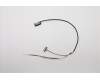 Lenovo CABLE LCD Cable 3N 81F4 für Lenovo IdeaPad 330S-14AST (81F8)