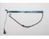 Lenovo CABLE MP6C0 M/B CAM RGB COAX+TFL für Lenovo ThinkPad T16 G3 (21V6)