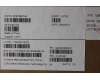 Lenovo COVER Upper Case ASM_RUS L 21U0NFP LG für Lenovo ThinkBook 16p G6 ADR (21U0)