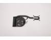 Lenovo HEATSINK CPU heatsink,w/fan,UMA,SNN für Lenovo ThinkPad T490 (20N2/20N3)