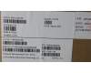 Lenovo MECH_ASM KBD W C RUS BKLT LTN WW USGY für Lenovo ThinkPad X13 Yoga Gen 4 (21F2/21F3)