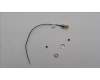 Lenovo ANTENNA Fru, Neo Tiny I-PEX TO SMA_LUX für Lenovo ThinkCentre Neo 55q Gen 6 (13GR)