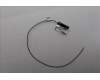 Lenovo ANTENNA Fru,Neo Studio main antenna_LUX für Lenovo ThinkCentre Neo Ultra (12W1)