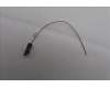 Lenovo ANTENNA Fru,Neo Studio aux antenna_LUX für Lenovo ThinkCentre Neo Ultra (12W1)