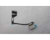 Lenovo CABLE CABLE L 83EF EDP LUXSHARE für Lenovo Legion 5 15ARP8 (83EF)