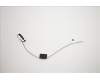 Lenovo ANTENNA LX C-tiny2 Rear antenna für Lenovo IdeaCentre 620S-03IKL (90HC)