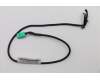 Lenovo CABLE Cable,400mm.Temp Sense,6Pin,holder für Lenovo ThinkStation P320