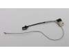 Lenovo CABLE EDP Cable C 81CJ W/CMOS für Lenovo V130-14IGM (81HM)