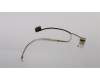 Lenovo CABLE LVDS Cable B 81JW für Lenovo S330 ChromeBook (81JW)