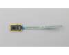 Lenovo FINGER_PRT FINGER_PRT C 81J7 w/FFC PG für Lenovo IdeaPad S530-13IWL (81J7)