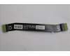 Lenovo CABLE FRU CABLE LINK1.0 INTEL IO/B FPC für Lenovo ThinkPad X13 G6 (21RL)