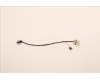 Lenovo CABLE ET M/B-TS EDP COAXIAL+TEFLON für Lenovo ThinkPad P16 Gen 1 (21D6/21D7)