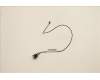 Lenovo CABLE Fru 475mm C2 SWITCH_TCO8.0 für Lenovo Neo 30s Gen 5 (13DG)