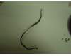 14G14B049101 Asus LMT VH242 KEY BOARD WIRE