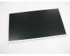 18G242000A01 Asus LMT LCD TFT 20" HD+ LGD