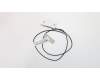 31507040 Lenovo CABLE LS X315 Rear Antenna