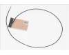 Acer ANTENNA MAIN für Acer TravelMate P6 TMP614-51T-G2
