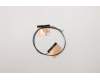 Lenovo ANTENNA FRU ANTENNA Antenna für Lenovo Yoga 11e 6th Gen (20SE/20SF)