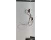 Acer Antenne Main Aux für Acer Aspire 14 (A14-51M)