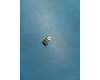 SC28D22483 Lenovo 8MFF Qtech C18F17 SS4H7 ZE52A1 GB04P 30P