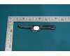 5SB8C07248 Lenovo TB-8703X SPK ASSY Bottom&*67109052 CS