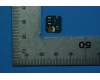 5P68C13542 Lenovo TB-X705F Ant SubBoard CS