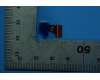5C28C15875 Lenovo TB-8705F R Camera&*710298328051CS