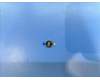 5M78C22785 Lenovo TB360ZU motor*HQ20401391000 CS