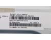 00FC920 Lenovo DVD Rambo Drive ASM