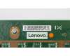 00HV383 Lenovo CARDPOP TS450 2,5 Zoll x 8 Hot-Swap Backplane MSI Rev. 1.0