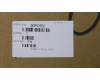00PC552 Lenovo HDD_ASM HDD,2TB,7200,DT3,SATA3,STD