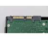 00PC552 Lenovo HDD_ASM HDD,2TB,7200,DT3,SATA3,STD