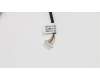 00PC926 Lenovo Kabel: Webcam zu Mainboard Kabel M700z