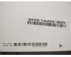 00UR192 Lenovo 14,WQHD,no-glare,TP,TPK+LGD