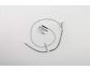 00XD890 Lenovo CABLE 23.8\"WiFi antenna cable Modul
