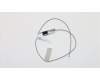 00XJ098 Lenovo ANTENNA Fru, Lx 8L SMB and IDC Front ANT