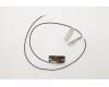 00XJ116 Lenovo ANTENNA LX AMD 720 500mm Rear antenna