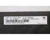01AX527 Lenovo NB_KYB Windu KBD NDC CHY BL