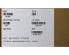 01HW859 Lenovo COVER C cover wo/FPR AMD