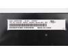 01HX346 Lenovo NB_KYB Windu2 LTN NBL-KB BG