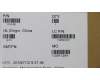 01HX489 Lenovo Notebook Tastatur Windu2 LTN mit Hintergrundbeleuchtung, Japanisches Layout