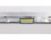 01HY599 Lenovo DISPLAY LGD 11.6HD, IPS, LCLW, AG